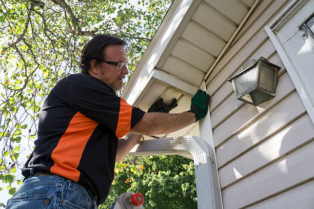 Best Shed Removal  in Oglesby, IL